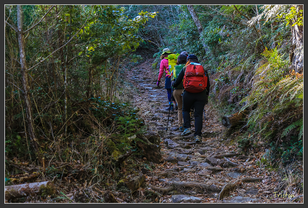 IMG_4667.jpg - 20160323 日本熊野古道健行