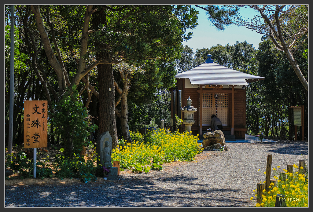 IMG_5948.jpg - 20160323 日本熊野古道健行