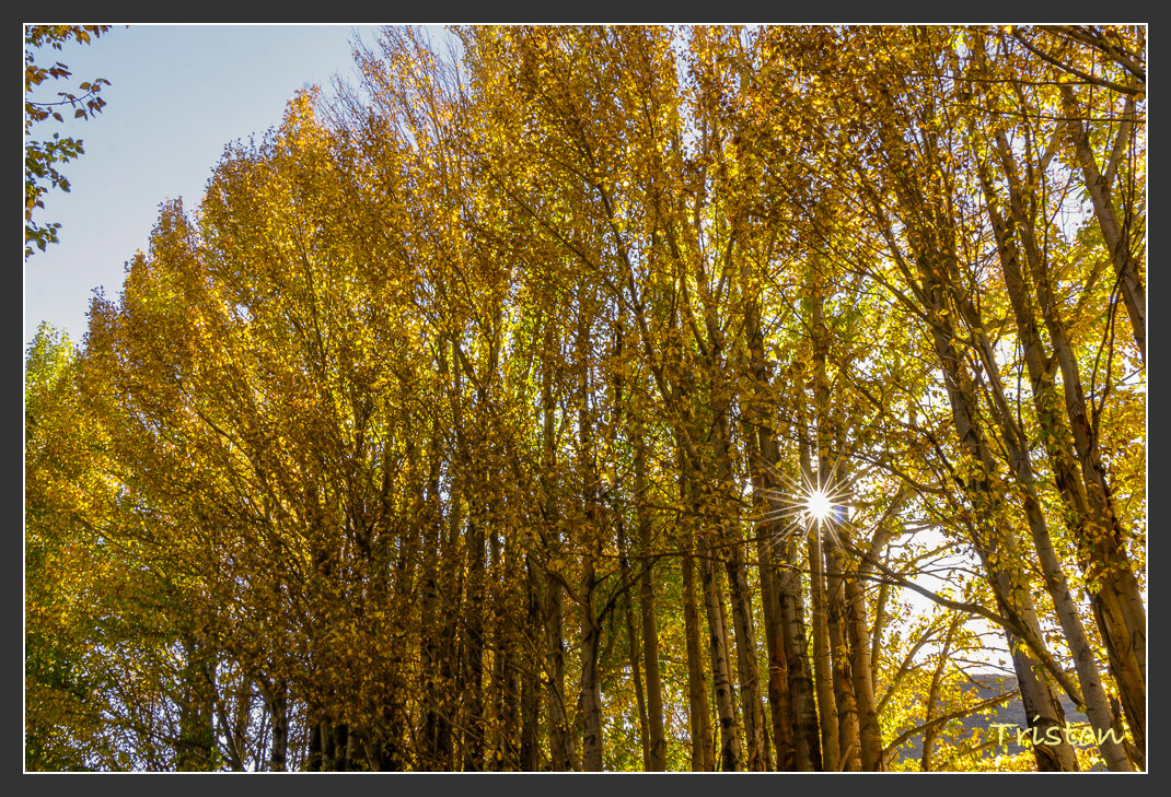 _MG_2377.jpg - 20161013 稻城亞丁