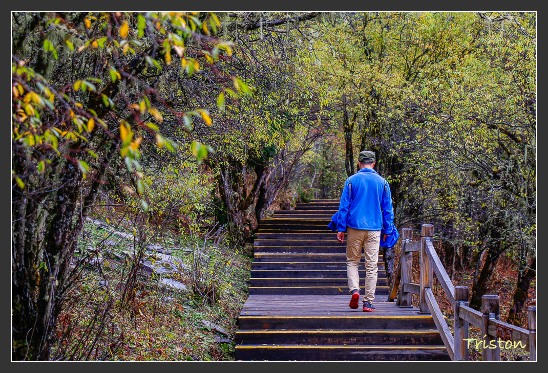 _MG_0948.jpg - 20161013 稻城亞丁