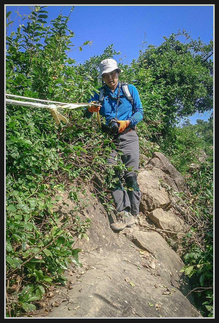 15629001_627378927468663_1501089697_o.jpg - 201161217 旗靈縱走