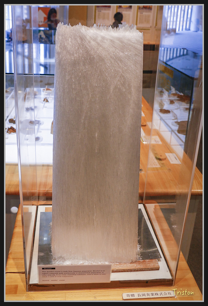 Canon-544.jpg - 20170120 大阪神戶親子遊 