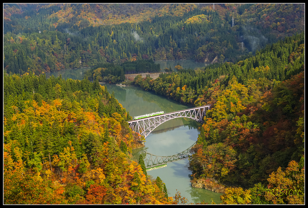 _H1A0553.jpg - 20171103 日本只見線、會津若松五色沼、昭和記念公園賞紅葉