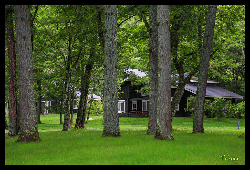 JH1A9656.jpg - 20150628 東京輕井澤日光