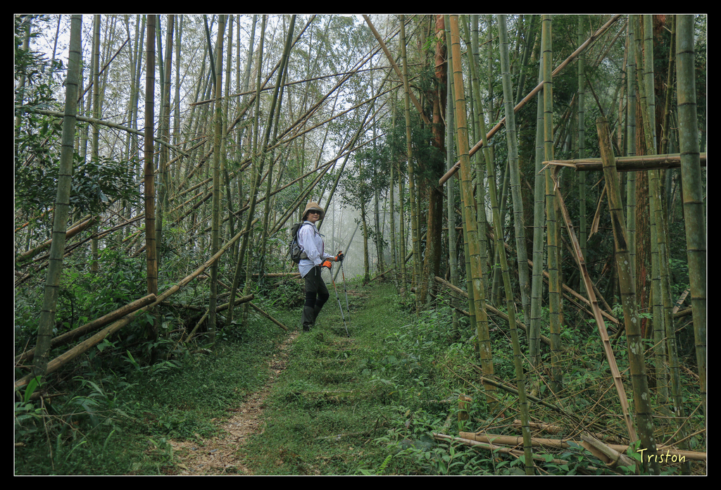 IMG_8425.jpg - 20151012 水社寮,四天王山