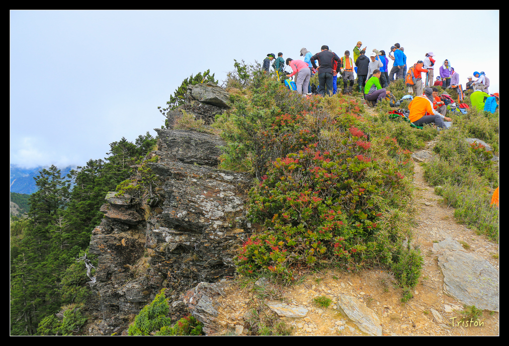 IMG_8732.jpg - 20151017 郡大林道、望鄉山、郡大山