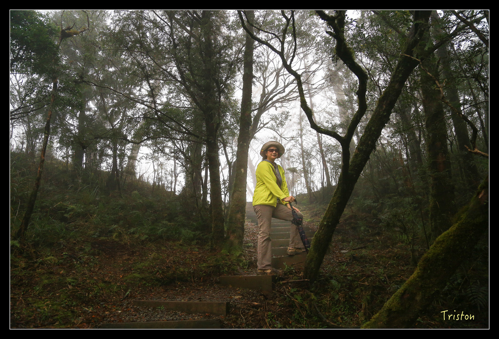JH1A0177.jpg - 20151024~25 幾米公園、翠峰湖、翠峰山屋、望洋山步道、山毛櫸步道