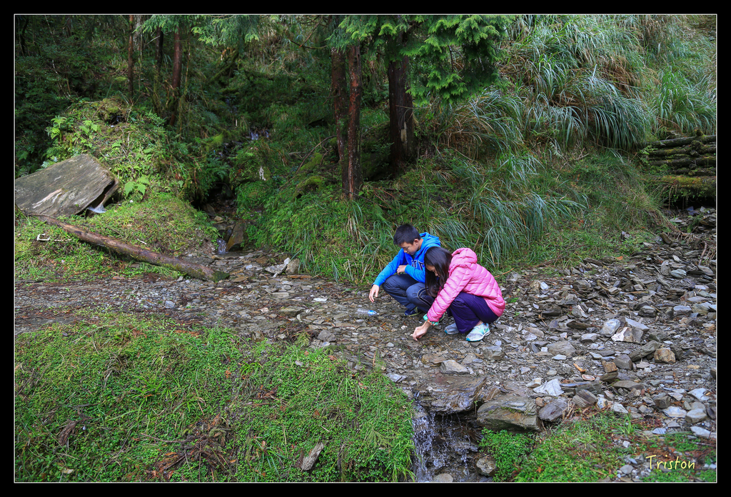 JH1A0129.jpg - 20151024~25 幾米公園、翠峰湖、翠峰山屋、望洋山步道、山毛櫸步道