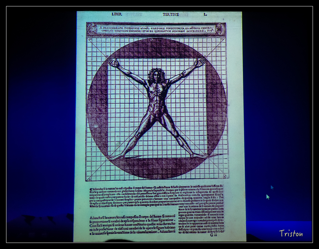 DSC00579.jpg - 20151120 美人建築課程-維特魯威人