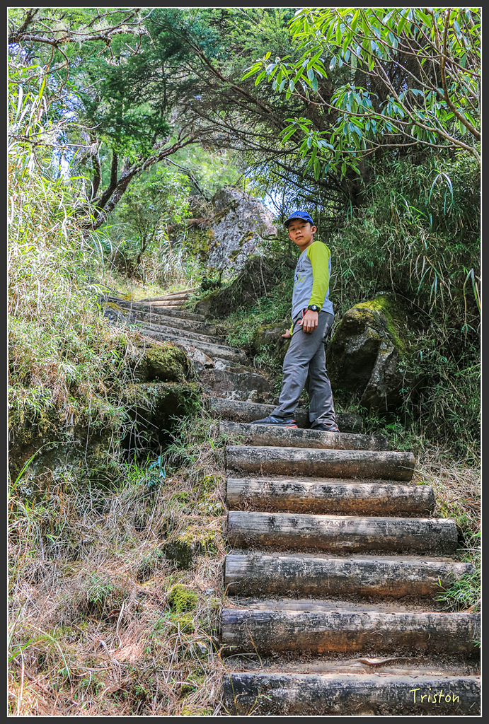 IMG_6248.jpg - 20160402 鹿林麟趾東埔山