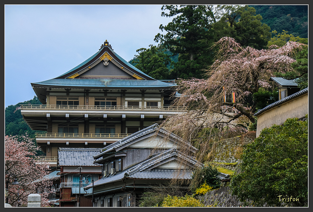 IMG_5682.jpg - 20160323 日本熊野古道健行