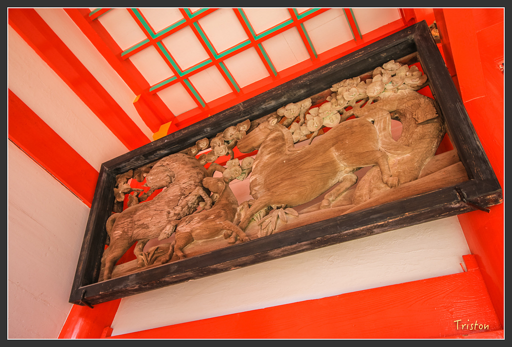 IMG_5812.jpg - 20160323 日本熊野古道健行