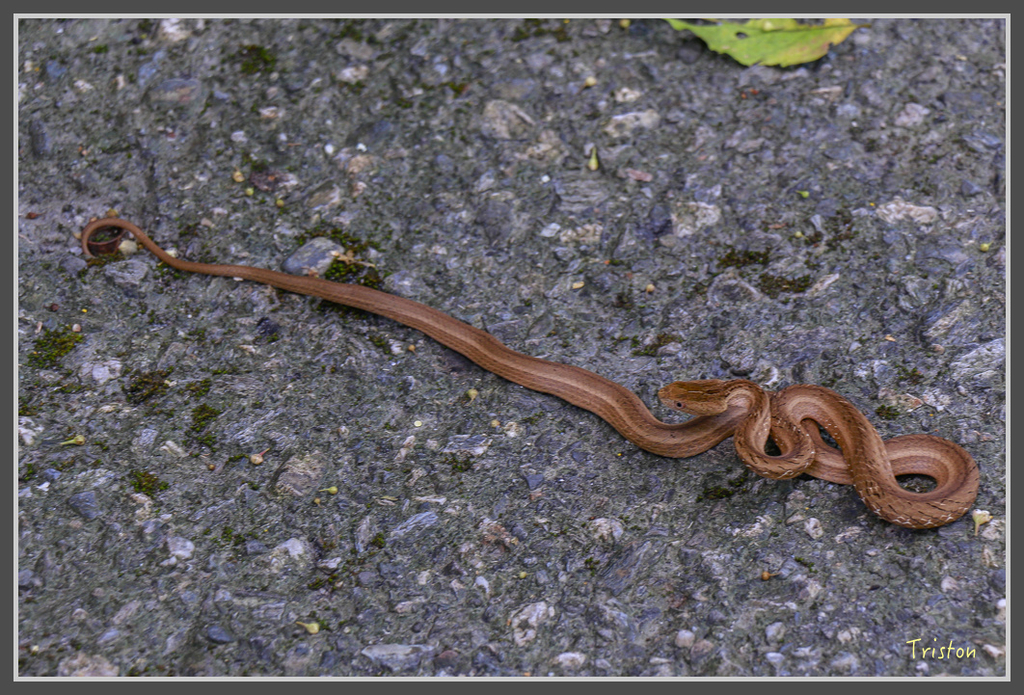 IMG-448.jpg - 20160821 中橫花東之旅