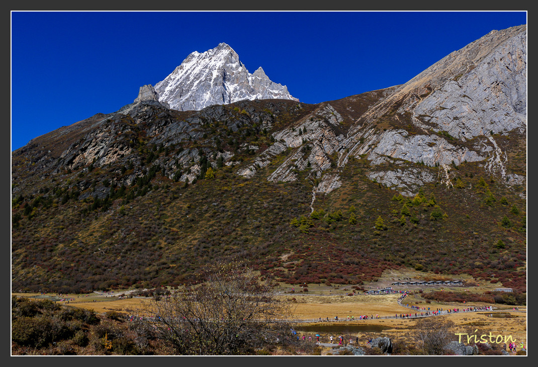 _MG_1686.jpg - 20161013 稻城亞丁