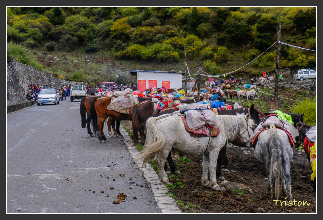 _MG_0882.jpg - 20161013 稻城亞丁