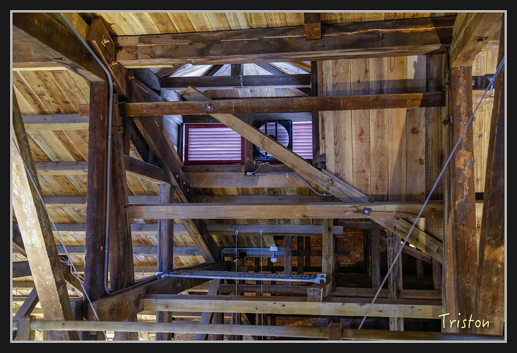 _H1A2661.jpg - 20170314 台南舊法院