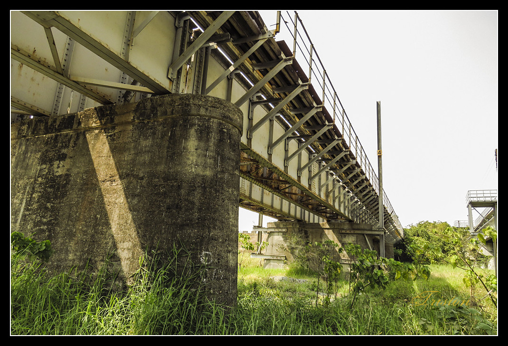 IMG_0005.jpg - 20170327 二層行溪鐵橋+環頸雉