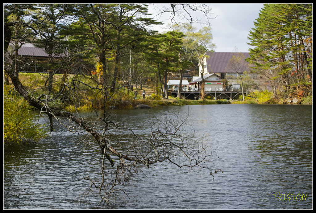 _H1A1348.jpg - 20171103 日本只見線、會津若松五色沼、昭和記念公園賞紅葉