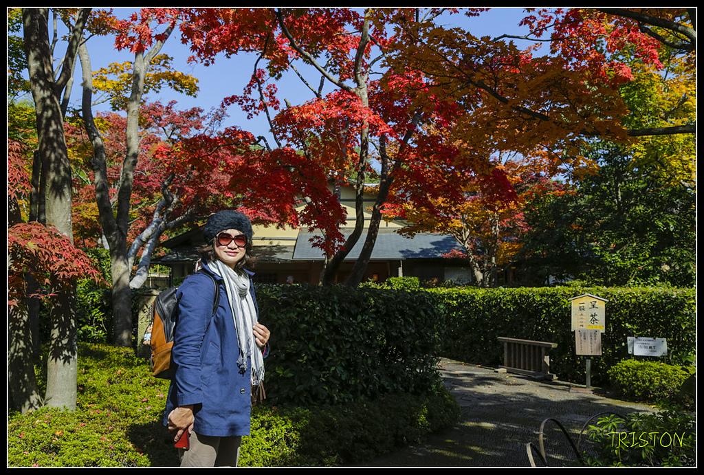 _H1A1709.jpg - 20171103 日本只見線、會津若松五色沼、昭和記念公園賞紅葉