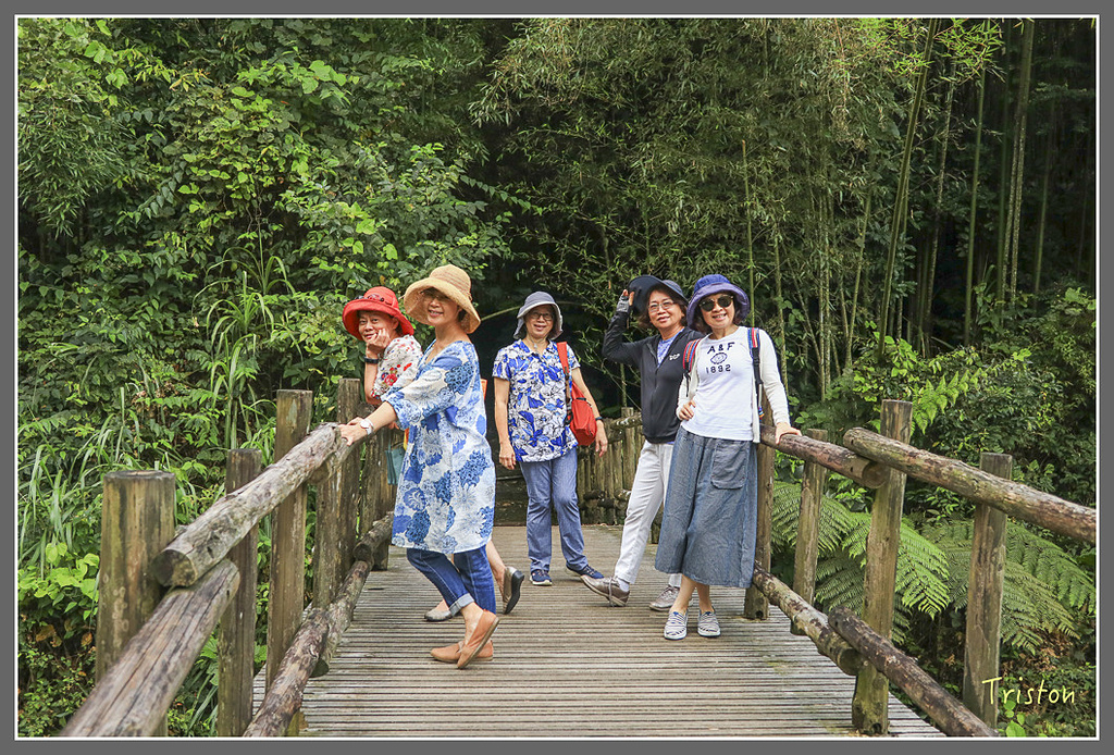 IMG_2245.jpg - 20180802 樂野山芙蓉揉茶,阿將咖啡的家