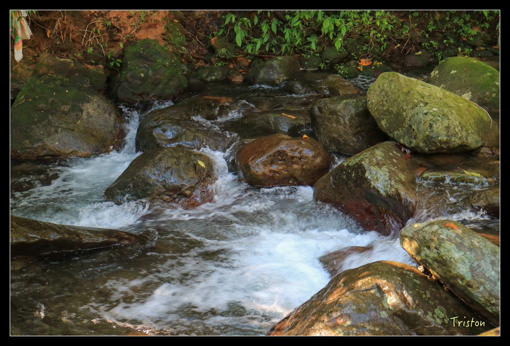 IMG_0482.jpg - 20151107 富士坪古道