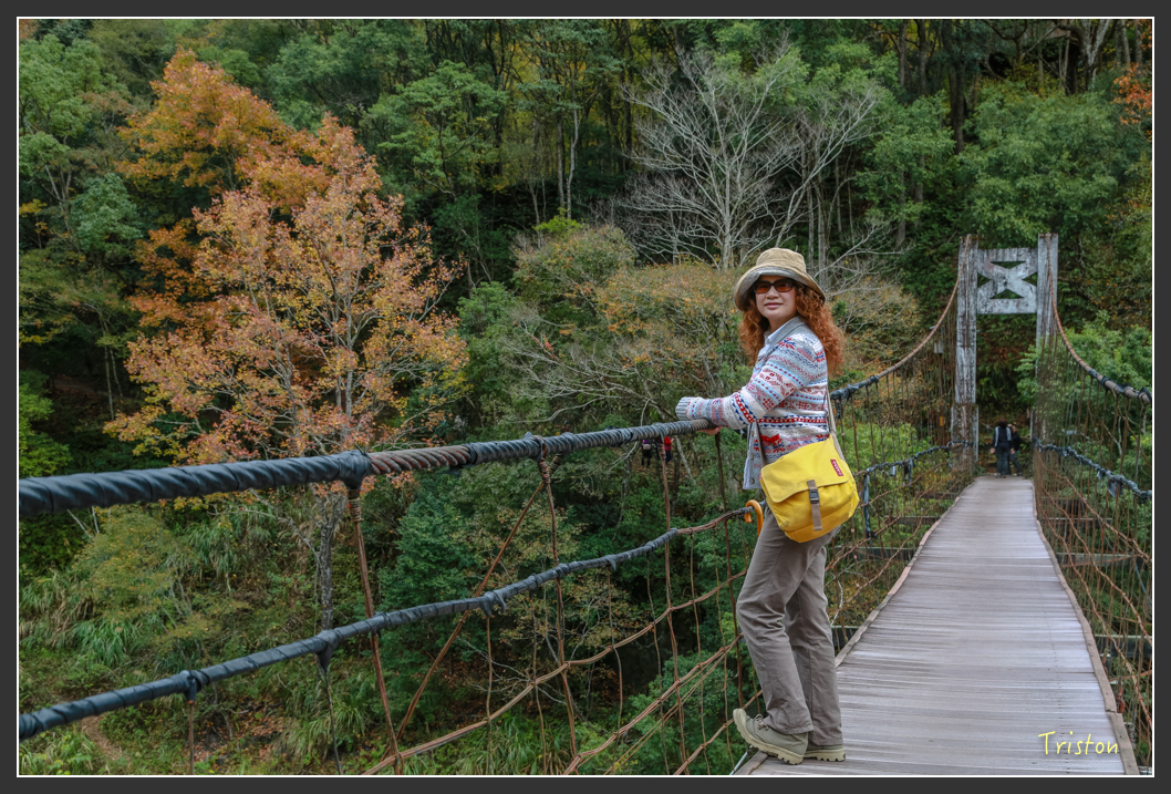 JH1A1306.jpg - 20151221 新竹秀巒賞楓