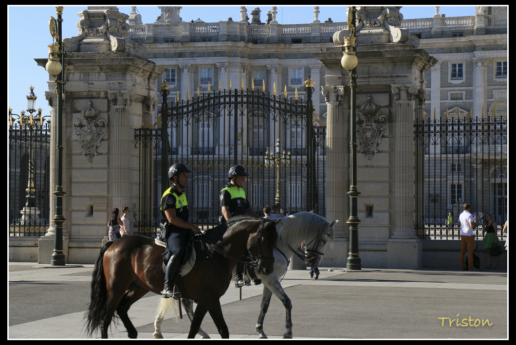 20140630-441_14510423830_o.jpg - 20140701 馬德里