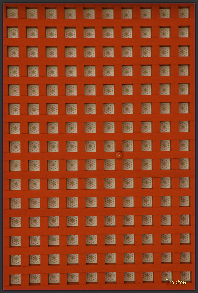 IMG_4448.jpg - 20160323 日本熊野古道健行