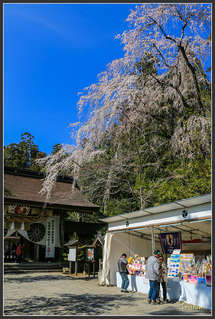 IMG_4885.jpg - 20160323 日本熊野古道健行