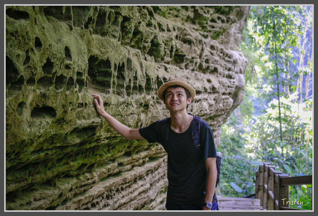 _MG_9138.jpg - 20160716 青年嶺步道