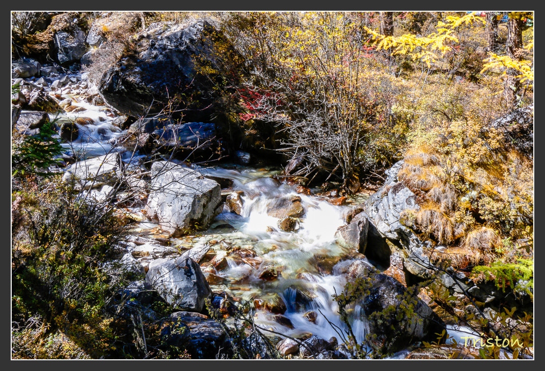 _MG_2177.jpg - 20161013 稻城亞丁