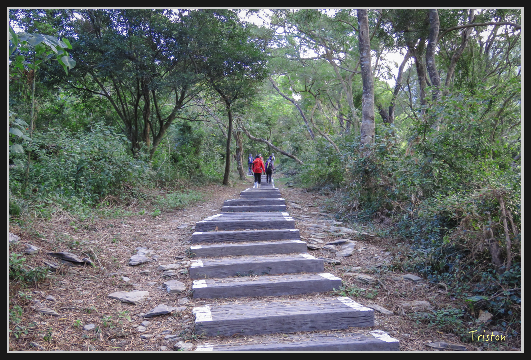IMG_0618.jpg - 20170111 龍頭山步道、羅木斯步道、茂林谷瀑布