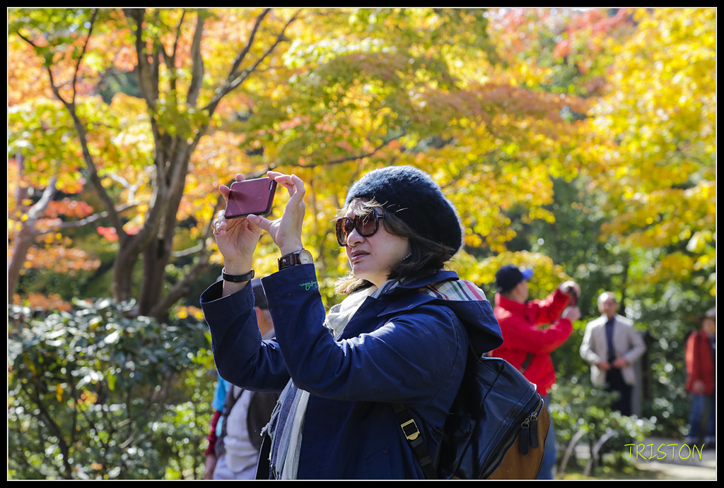 _H1A1733.jpg - 20171103 日本只見線、會津若松五色沼、昭和記念公園賞紅葉