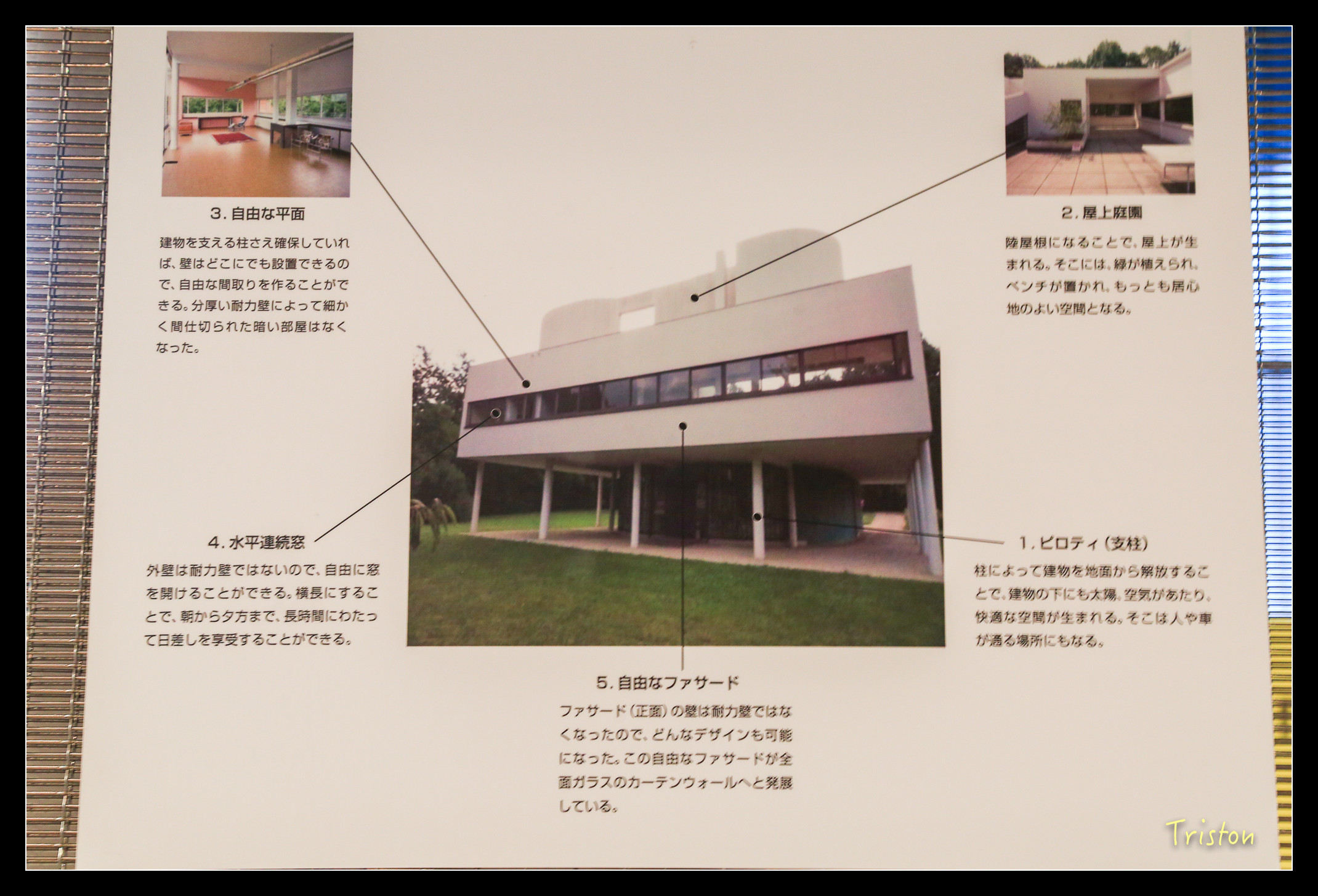 JH1A8905.jpg - 20150628 東京輕井澤日光