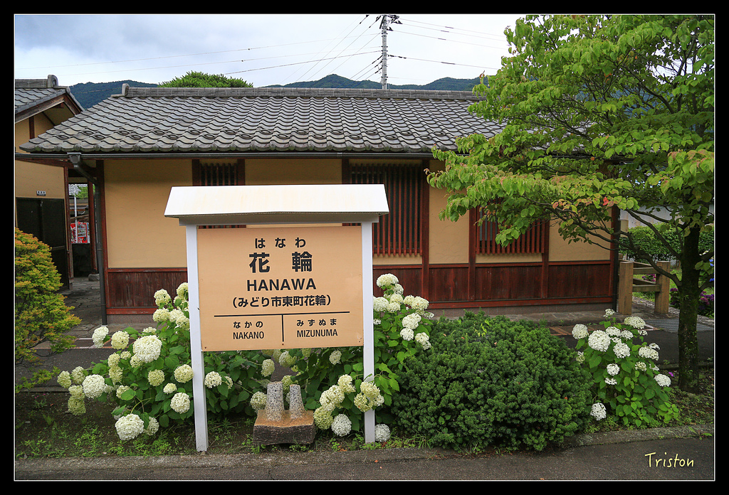 JH1A9765.jpg - 20150628 東京輕井澤日光