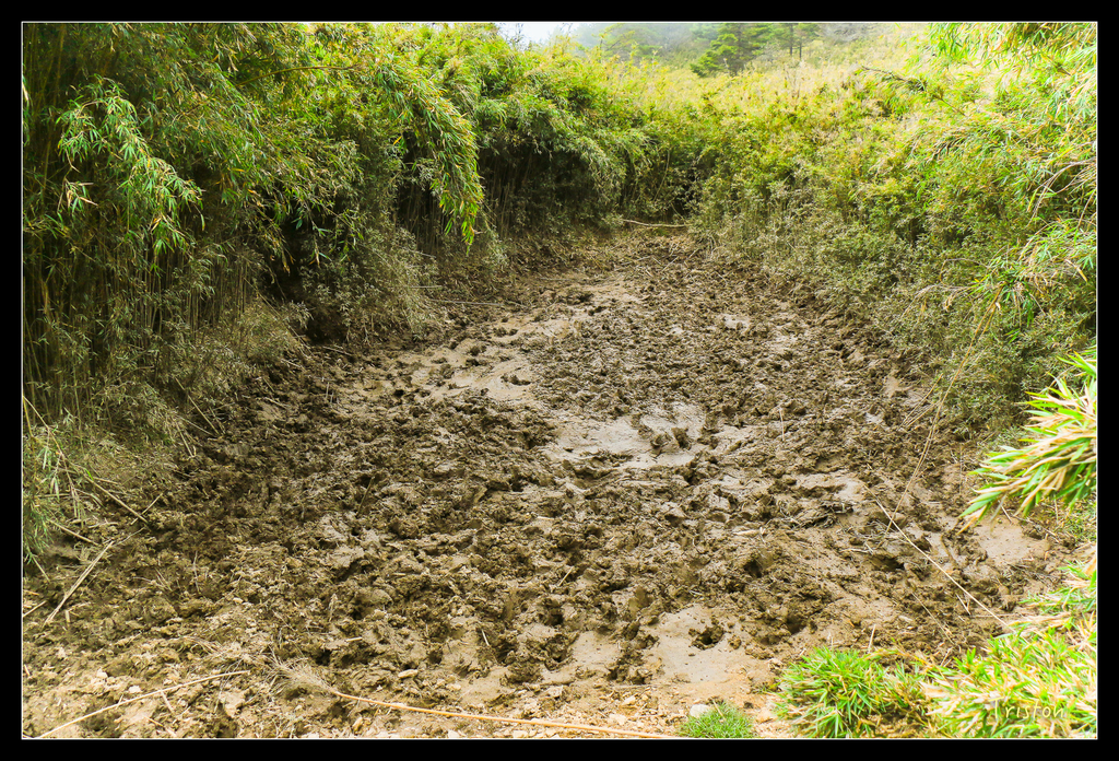 IMG_8654.jpg - 20151017 郡大林道、望鄉山、郡大山