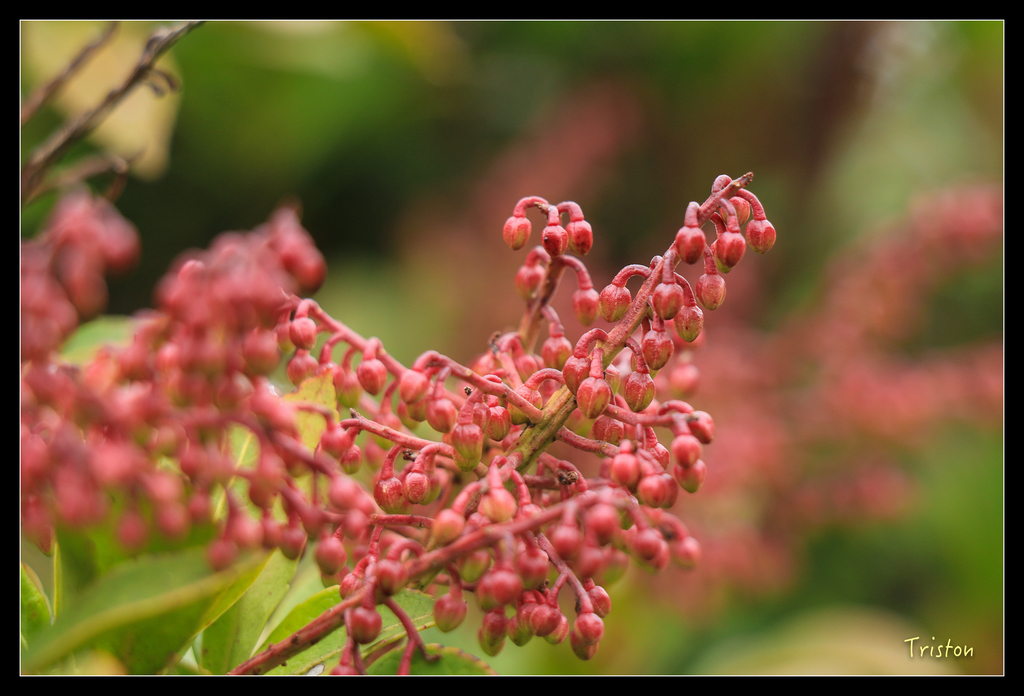 IMG_8741.jpg - 20151017 郡大林道、望鄉山、郡大山