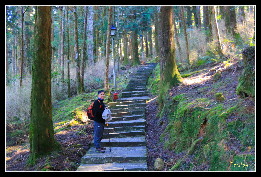 IMG_9190.jpg - 20151130 小笠原山、對高岳