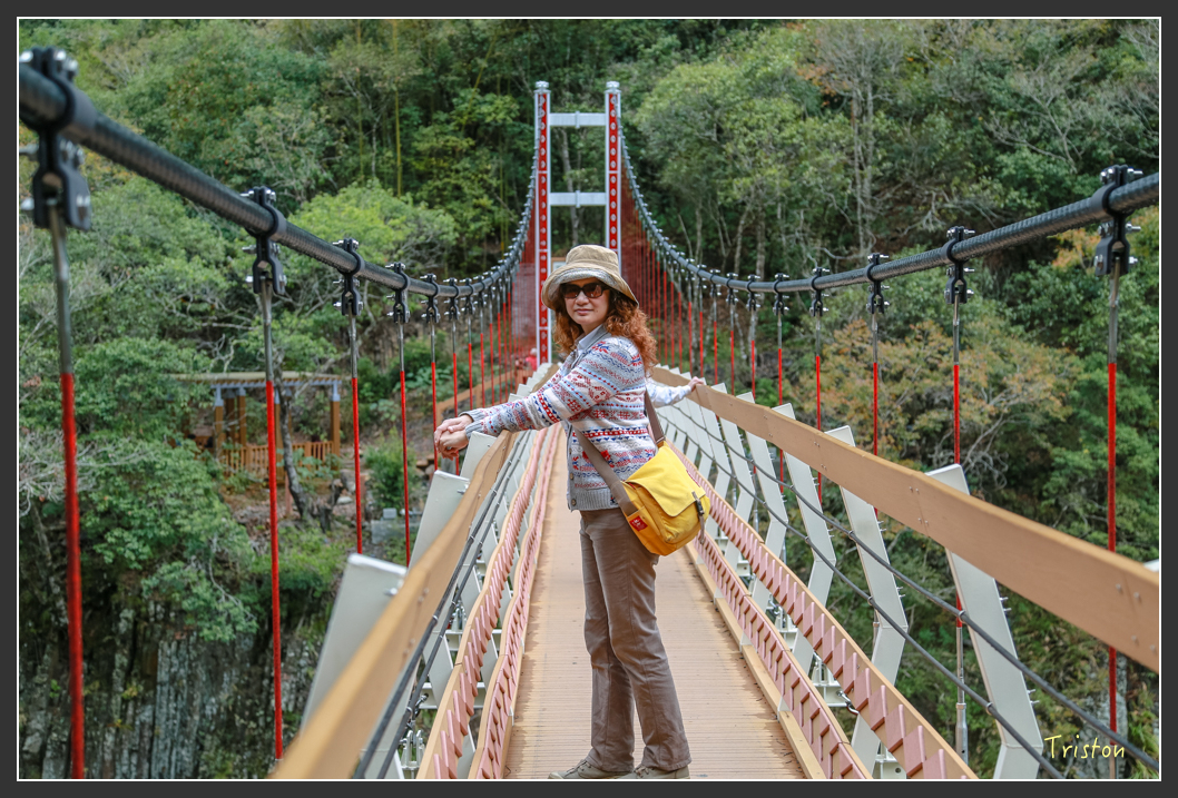 JH1A1328.jpg - 20151221 新竹秀巒賞楓