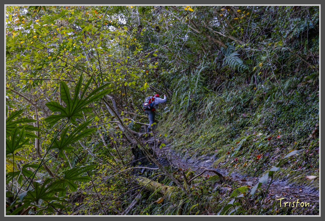 _MG_0094.jpg - 20161203 鎮西堡