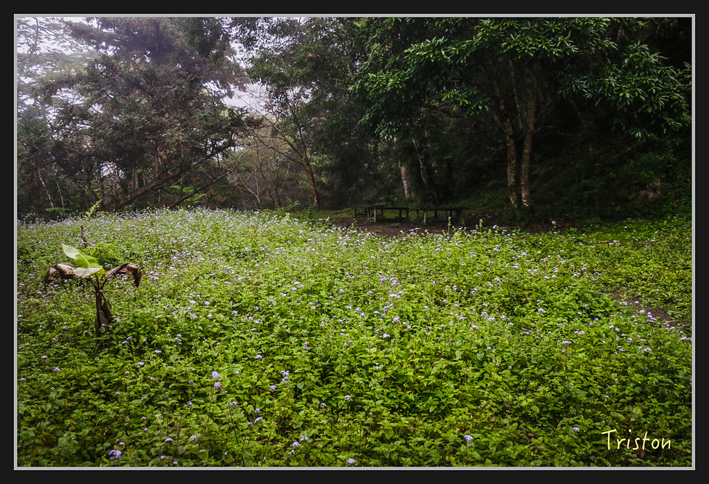2017-02-27 10.03.53 下午 _MG_0274.jpg - 20170225 玉里瓦拉米