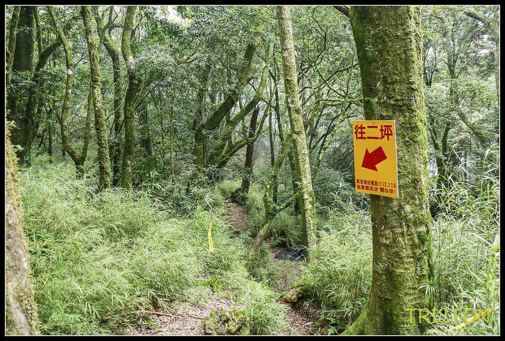 _MG_0091.jpg - 20170920 加里山