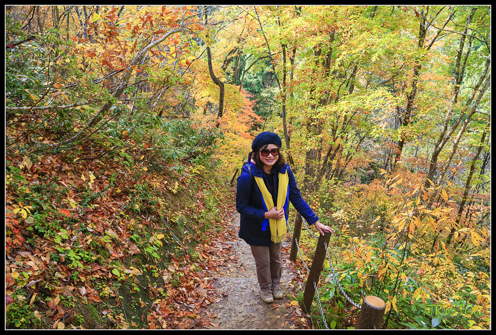 _H1A0592.jpg - 20171103 日本只見線、會津若松五色沼、昭和記念公園賞紅葉