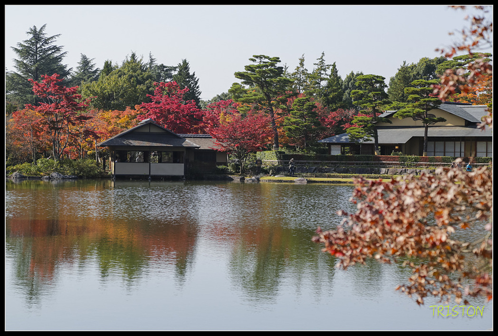 _H1A1747.jpg - 20171103 日本只見線、會津若松五色沼、昭和記念公園賞紅葉