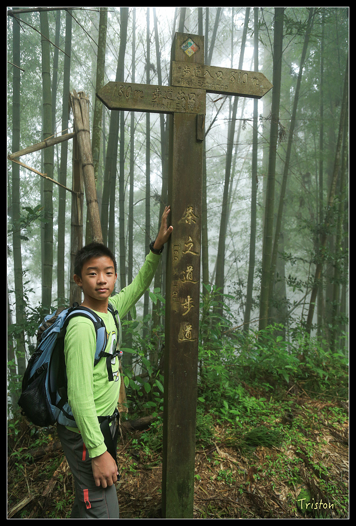 JH1A9760.jpg - 20150920 石棹,霧之道 茶之道 雲之道