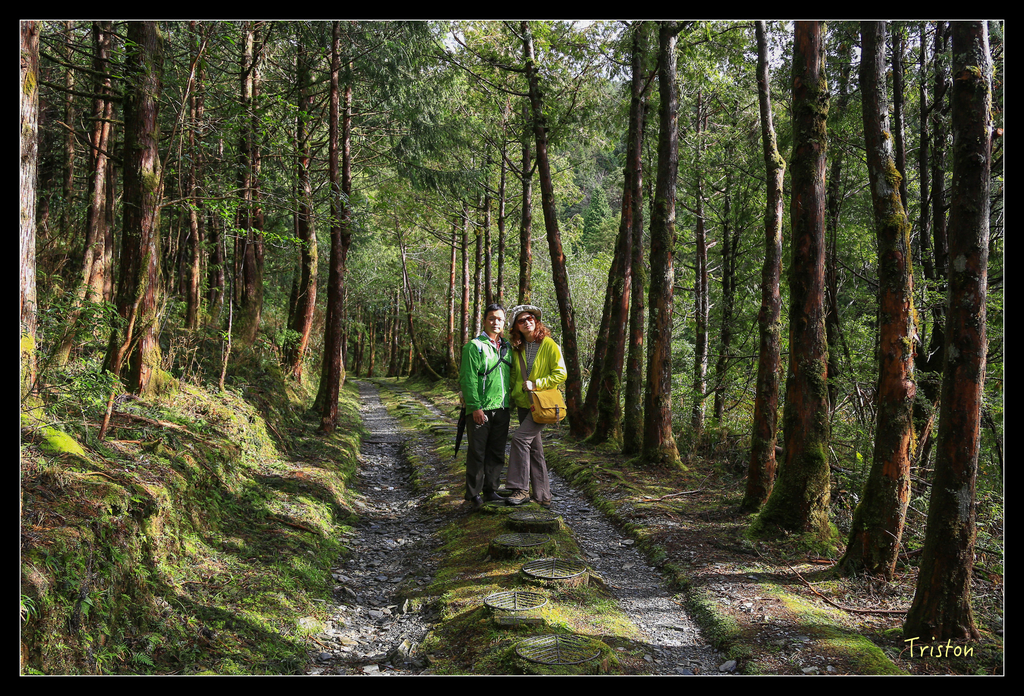 JH1A0140.jpg - 20151024~25 幾米公園、翠峰湖、翠峰山屋、望洋山步道、山毛櫸步道