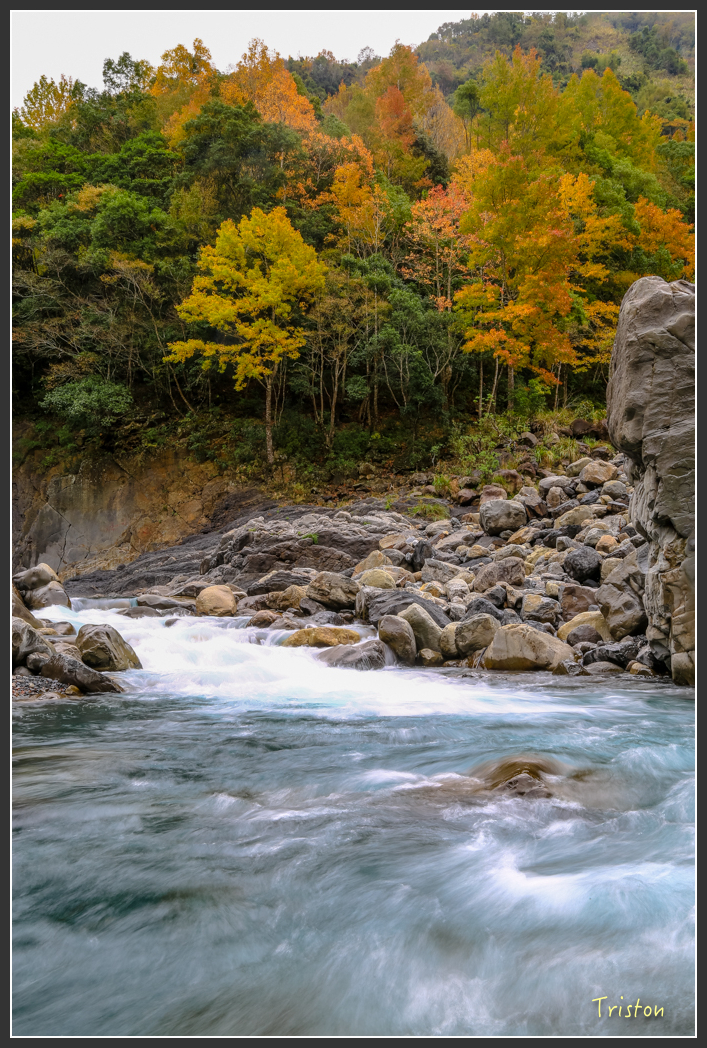 JH1A1414.jpg - 20151221 新竹秀巒賞楓