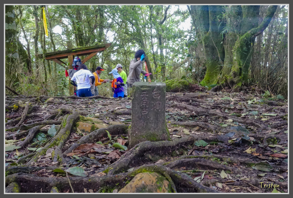 DSC00804.jpg - 20160924 溪頭台寅山
