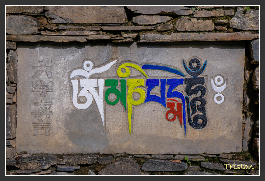 _MG_0304.jpg - 20161013 稻城亞丁