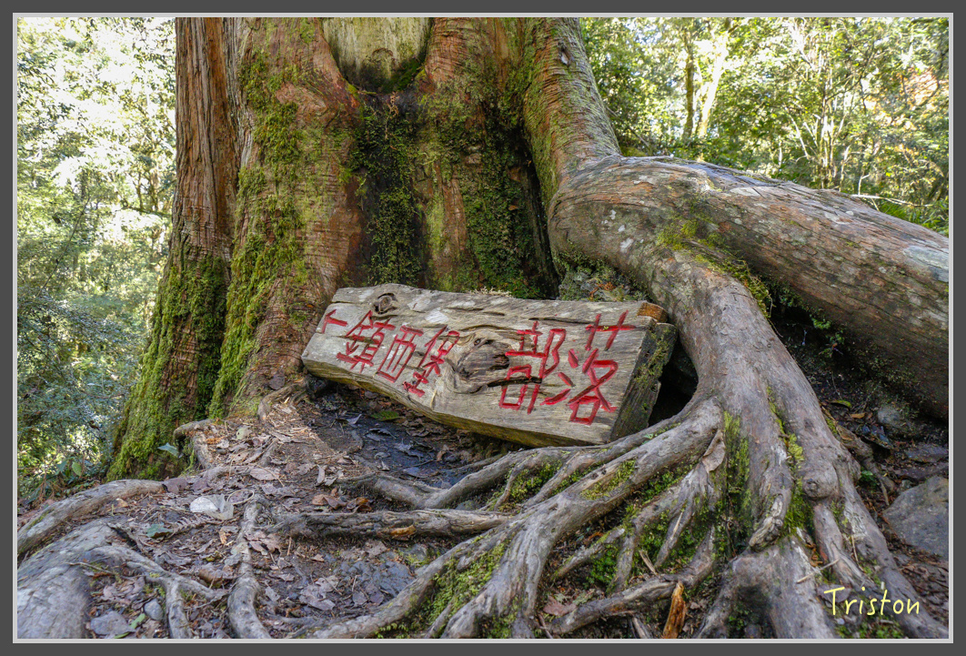 _MG_0341.jpg - 20161203 鎮西堡